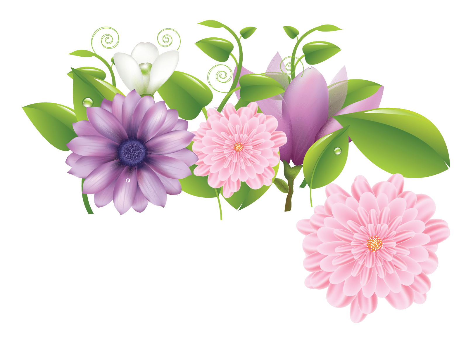 Foundation Programs Jewish Federation Of Broward County