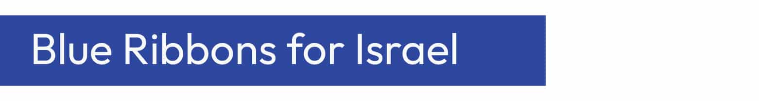 Stand With Israel Toolkit Banners Medium Blue 13